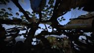 The Freecam mod lets players explore the world with a freecam without switching to Spectator mode (Image via Sportskeeda Gaming || Mojang Studios/hashalite)